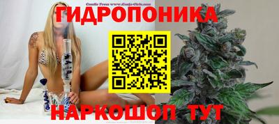 винт Краснодар