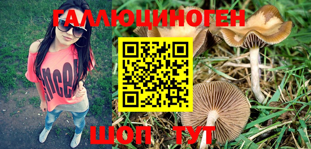 Галлюциногенные грибы Magic Shrooms Елабуга
