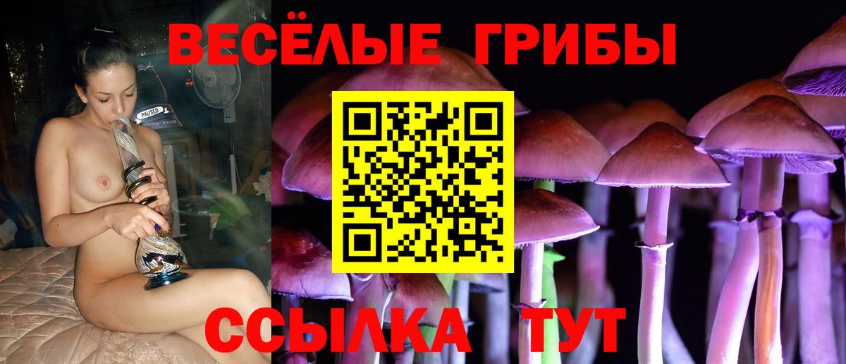 Псилоцибиновые грибы Cubensis  Псилоцибиновые грибы мухоморы  купить наркотики цена  Елабуга  Вход с VPN 